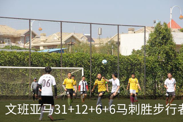 文班亚马31+12+6+6马刺胜步行者 尼克斯克骑士